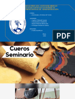 Presentacion-Cueros Seminario