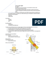 Hoorcollege Somatische Bronnen Van Lage Rugpijn