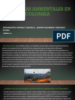 Problemas Ambientales en Colombia Trabajo Geografia