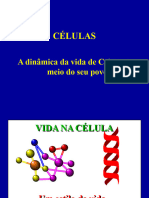 Celulas PIBBC