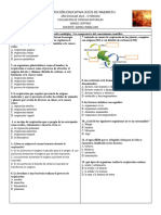 Examen Grado 7°