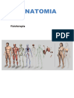 Resumos de Anatomia I e II PDF