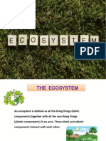 Ecosystem PPT Compressed