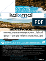 Kalomai Travel 7 Años