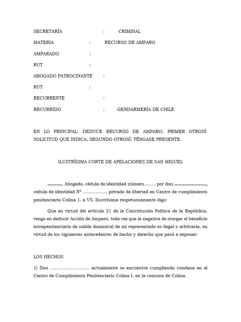 Ejemplo de Recurso de Amparo Judicial | PDF