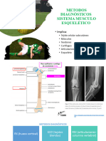 Musculo Esquelético TEORIA1