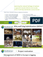 4 Biodiversa Wolfness IEA