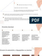 Proteínas - Bioquímica na digestão