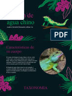 Dragon de Agua Chino