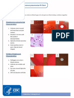 Flowchart Alpha Streptococci vs Streptococcus Pneumoniae on BAP ID Chart