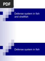 Fish Anatomy: Structure and Functions | PDF