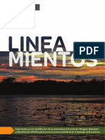 Lineamientos Ioarr Version Final PDF