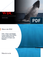 WDC Powerpoint