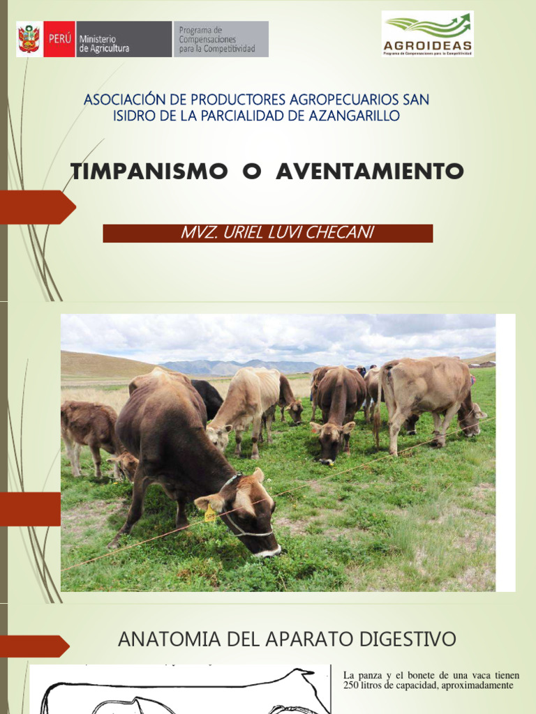 Timpanismo 220126024823 PDF