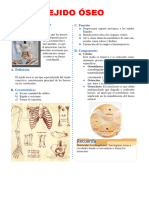 Ficha Tejido Oseo