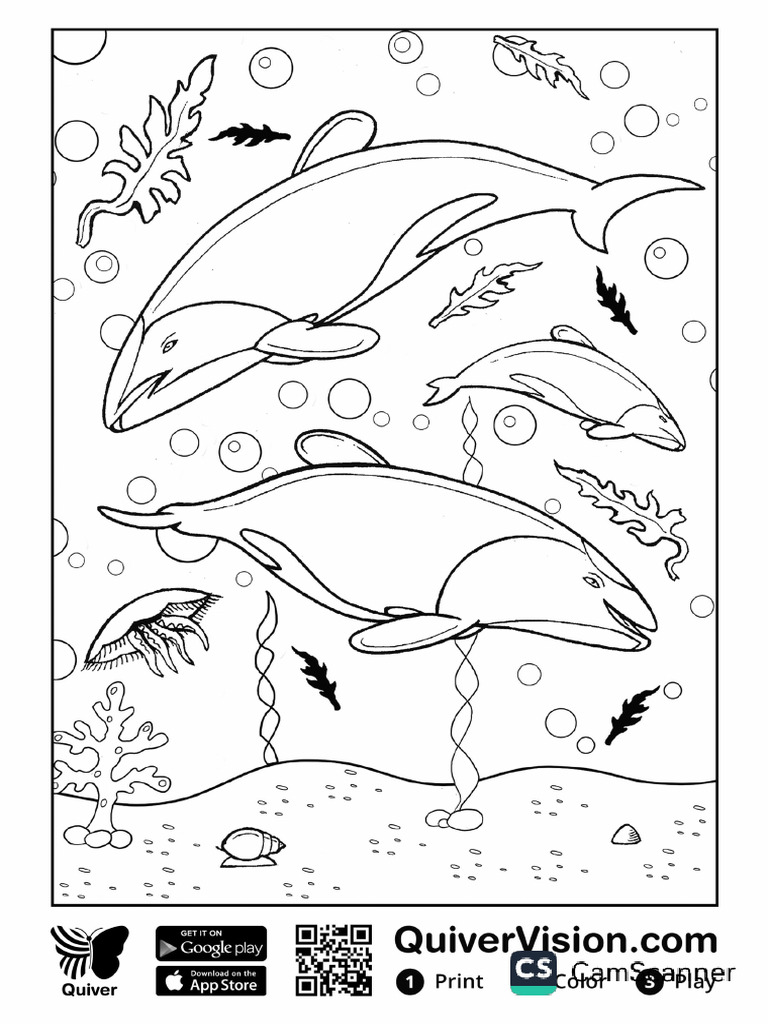 Dolphins | PDF