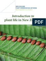 Introduction To Plant Life in NZ