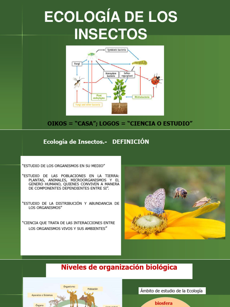 Ecología de Insectos y Poblaciones | PDF | Red alimentaria | Ecología
