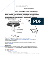 Importanta Ciupercilor in Lumea Vie: Bianca Gabriela Cotovanu