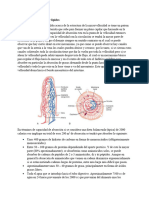 Absorción de Electrolitos y Lípidos