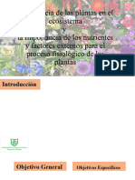 Importancia de Las Plantas en El Escosistema