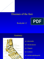 13 Diseases of The Foot