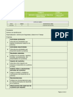 PS-PG-F16 Reporte Consolidado Práctica V1