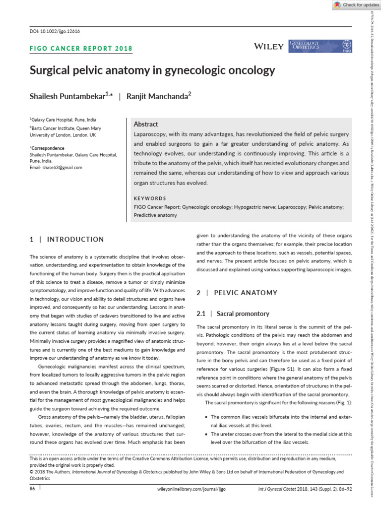 Surgical Pelvic Anatomy in Gynecologic Oncology | PDF | Peritoneum | Uterus