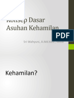 2P2 - AKK - Konsep Dasar Asuhan Kehamilan 2