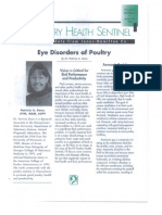 PLT Poultry Eye Disorders