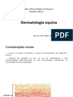 05 - Dermatologia Equina