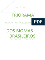 Triorama Biomas Brasileiros
