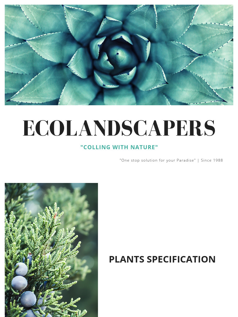 Plants Presentation For KG | PDF