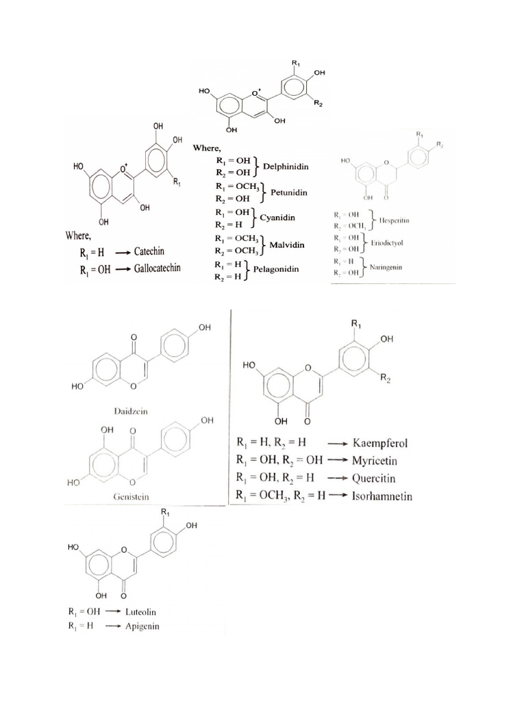 Flavonoids Structure. PDF