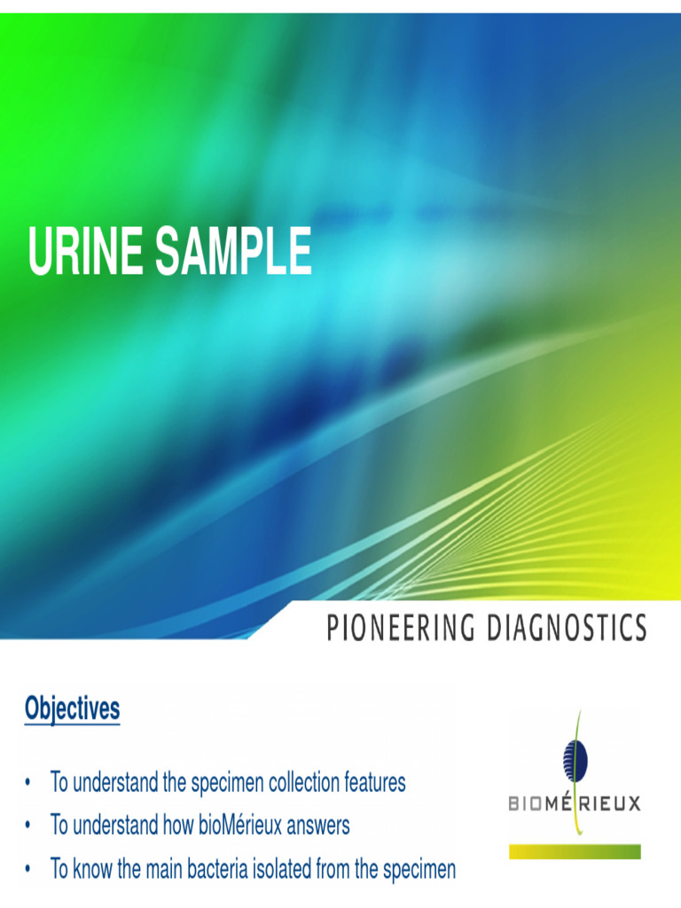 17 Urine, Stool, Wound, Genital PDF Urinary Tract Infection