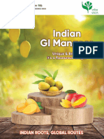 Mango Brochure