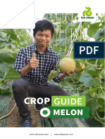 SEA Crop Guide Melon