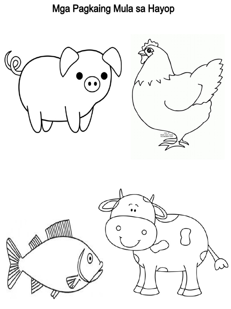 Food source collage pdf