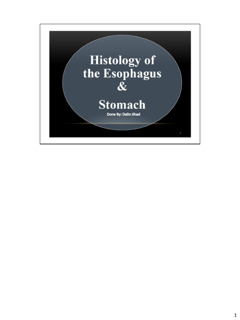 Stomach and Esophagus Histology Overview | PDF
