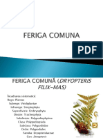 Feriga Comuna