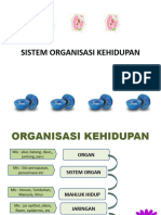 Pertemuan 3 Organisasi-Kehidupan