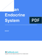 Endocrine System - Study Notes