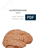 Neuropsihologie 4