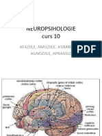 Neuropsihologie 10