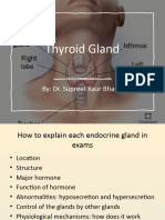 Thyroid Gland