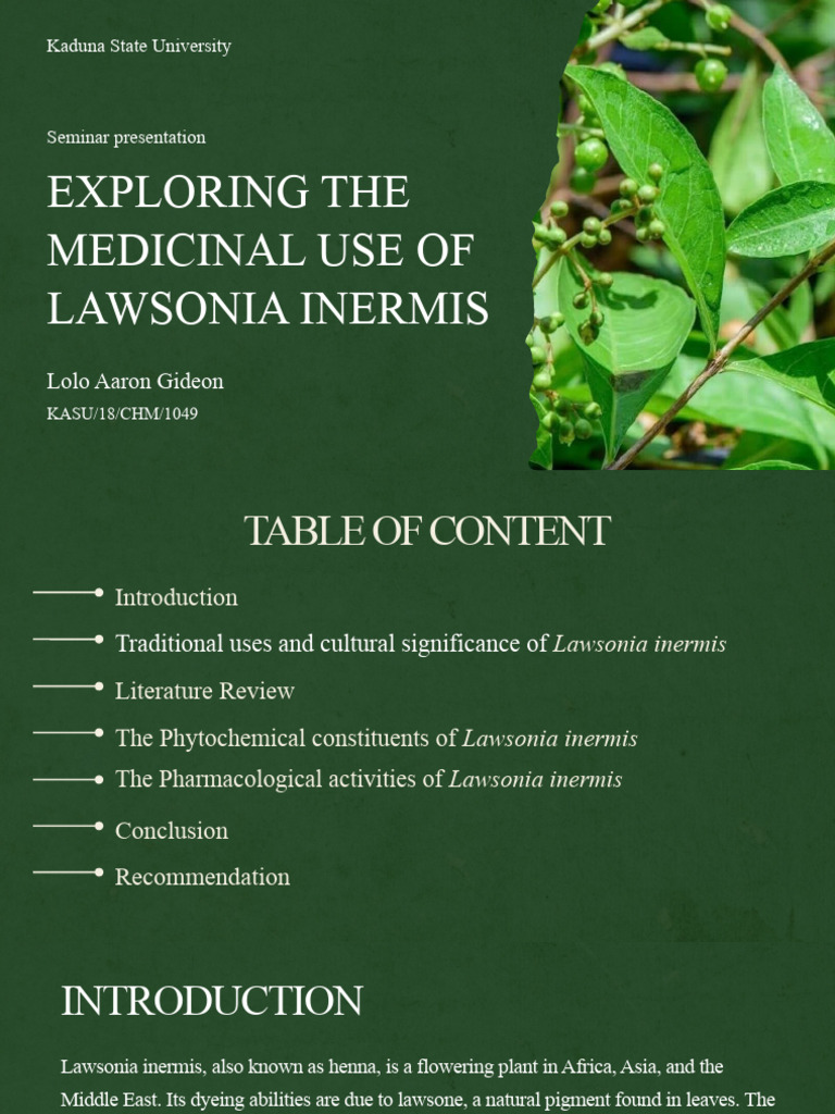 Medicinal Uses of Lawsonia Inermis | PDF