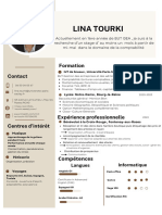 CV Lina Tourki td2