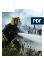 Asistencia Tecnica - Manejo Integral Del Fuego