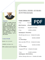 CV Format