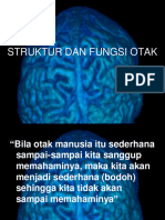 Lecture 8 Brain Structure